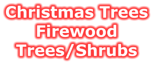 Christmas Trees Firewood Trees/Shrubs